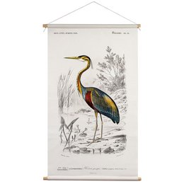 Tekstilplakat med lædersnor - Illustration Reiger D'Orbigny 65x45 cm - vægdug