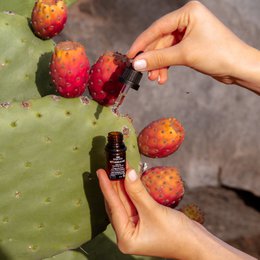 🌵MINI: Olio di semi di fico d'india biologico - elisir antietà - 5ml