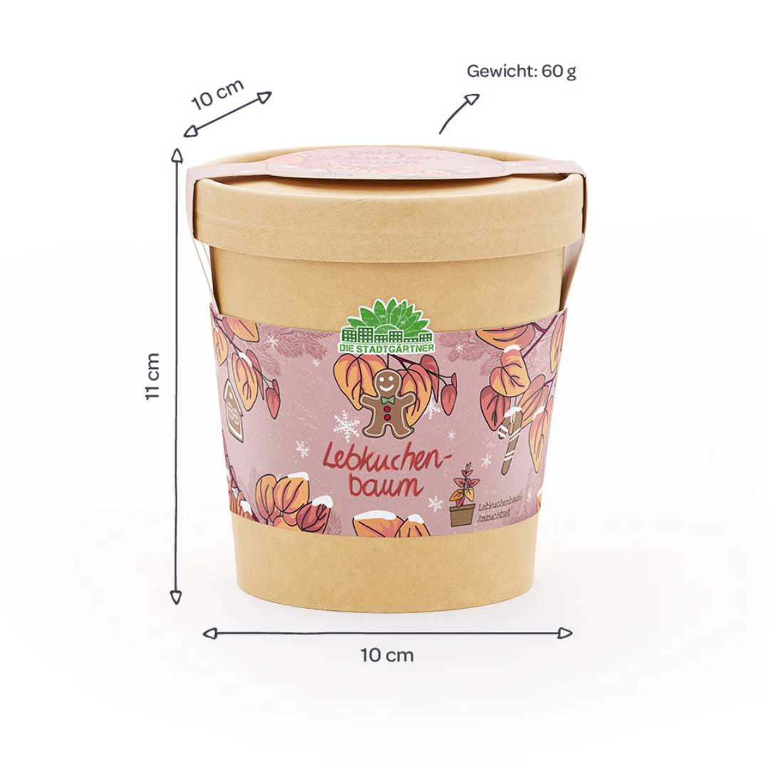Lebkuchenbaum aus dem Becher