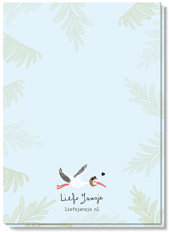 Pregnancy Announcement | Stork