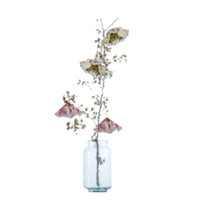 Steinpapierblumen