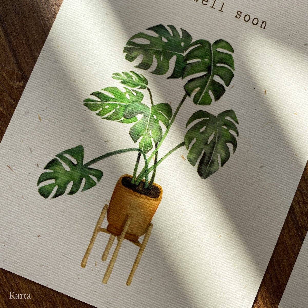 Tarjeta Monstera para mejorar