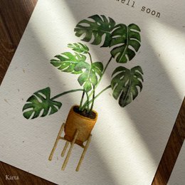 Monstera Get-Better-Karte