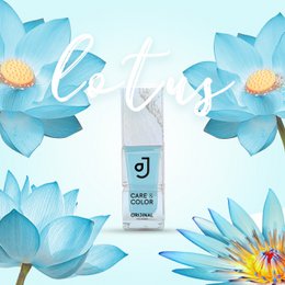 LOTUS vernis