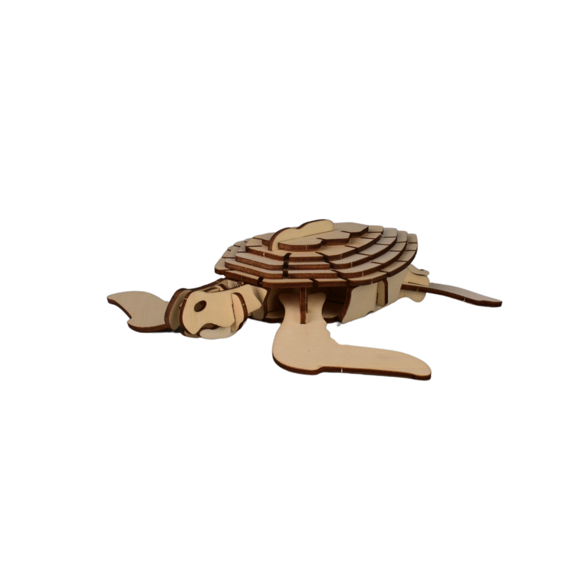 Kit tartaruga