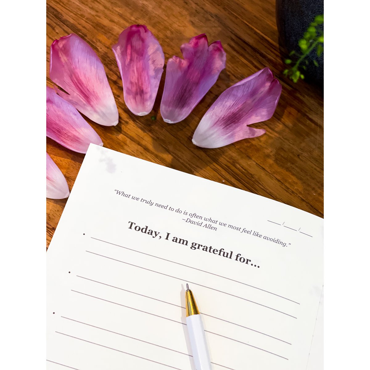 Best-seller Gratitude List-tidsskrifter