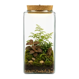 Glass Terrarium with LED Cork KW-3 25 cm