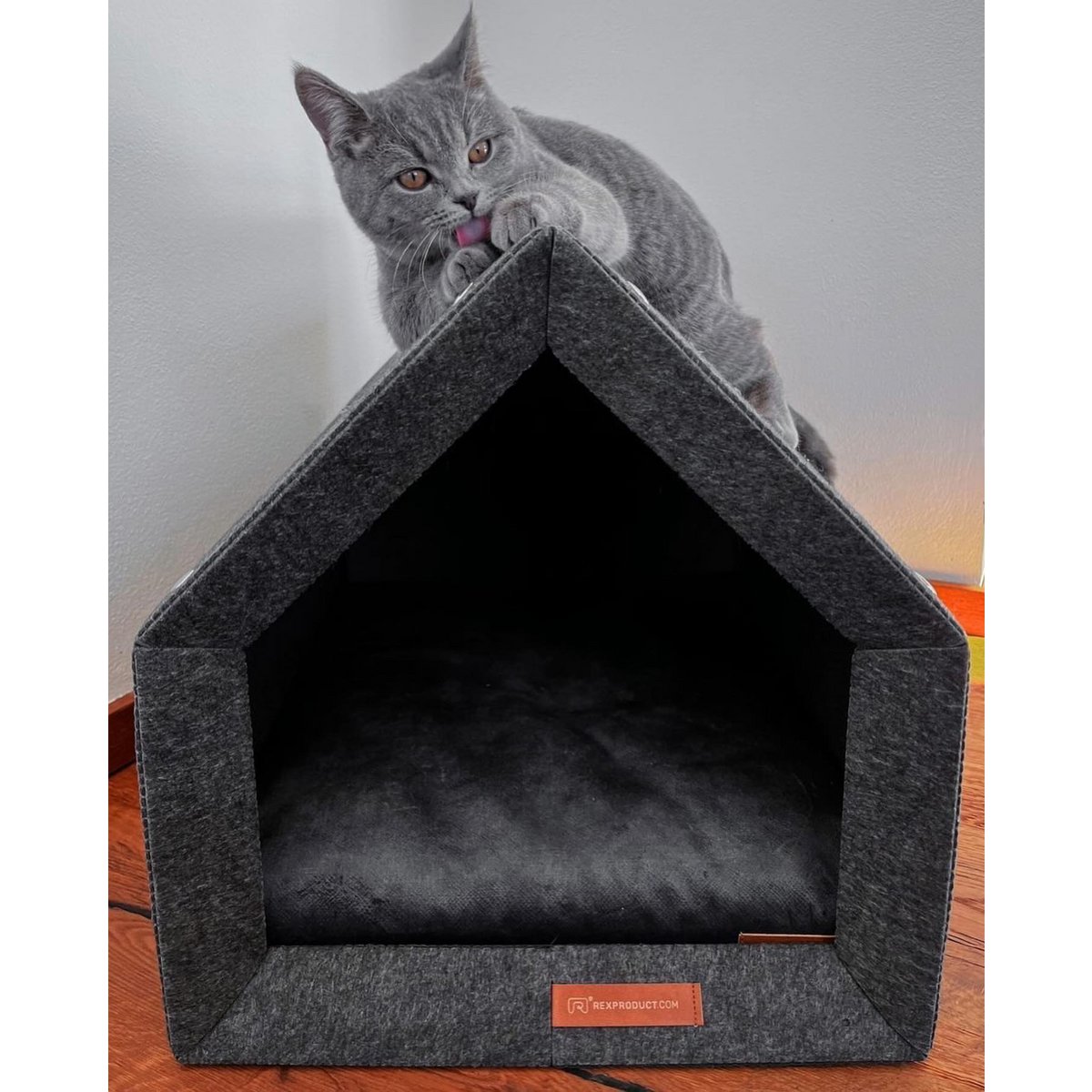 Pethome Perfektes Zuhause für einen Hund und eine Katze - dunkelgrau/recycelt