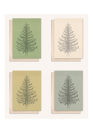 Sustainable card + envelope | Pine tree | silver fir