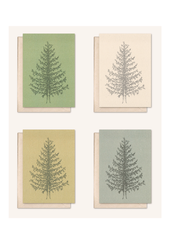 Carte durable + enveloppe | Pin | sapin argenté