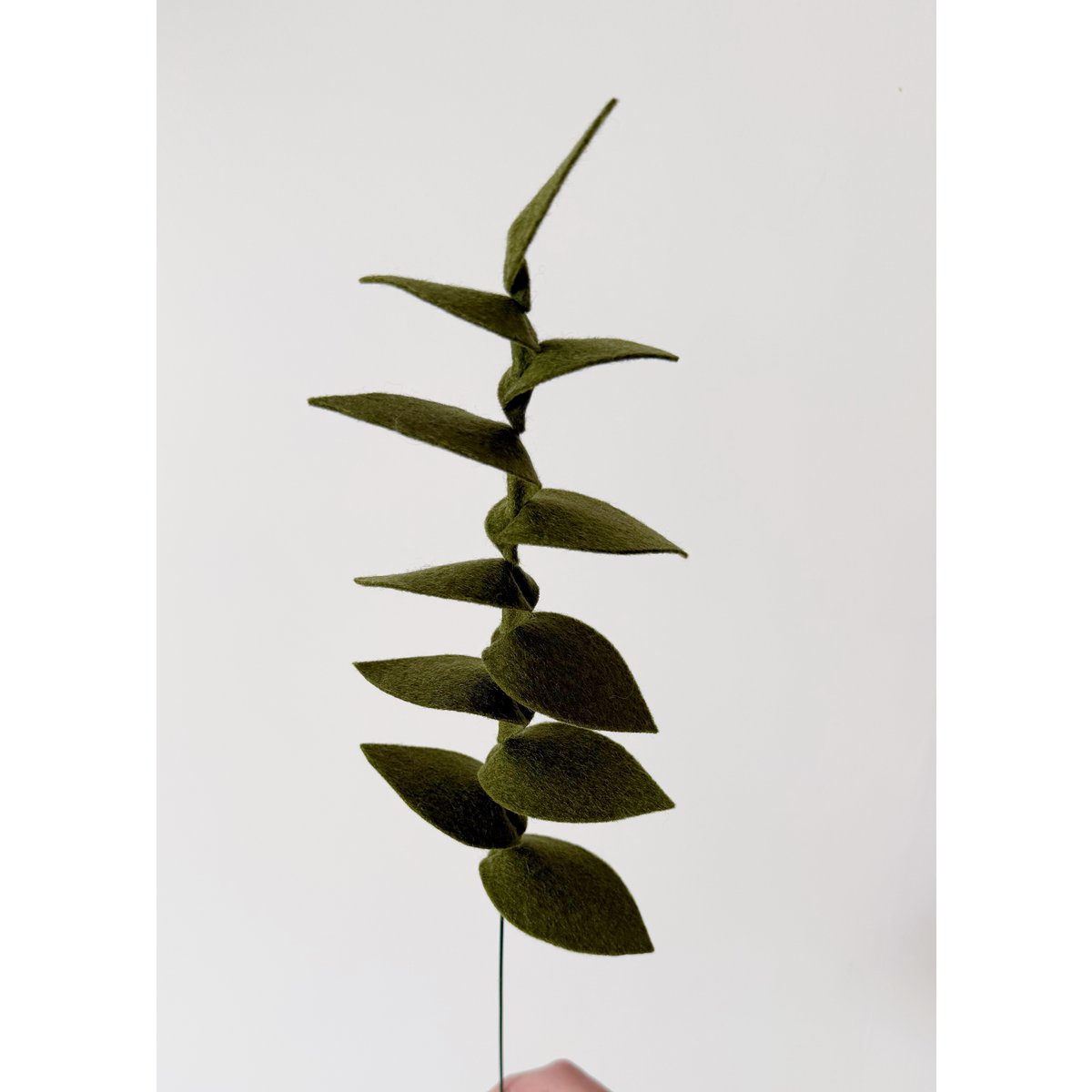 Filzblume Gemüsezweig dunkelgrün