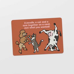  Poodle cat cow illustration postcard, terracotta orange background, funny animal characters, greeting card with text