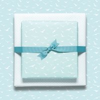 Vögel Geschenkpapier mint - maritimes Geschenkpapier mit Möwen, als Geschenkverpackung zur Hochzeit, zur Geburt oder zur Taufe