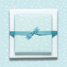 Vögel Emballage Paper Mint - Papier d'emballage maritime avec des mouettes, comme emballage cadeau pour le mariage, pour la naissance ou le baptême