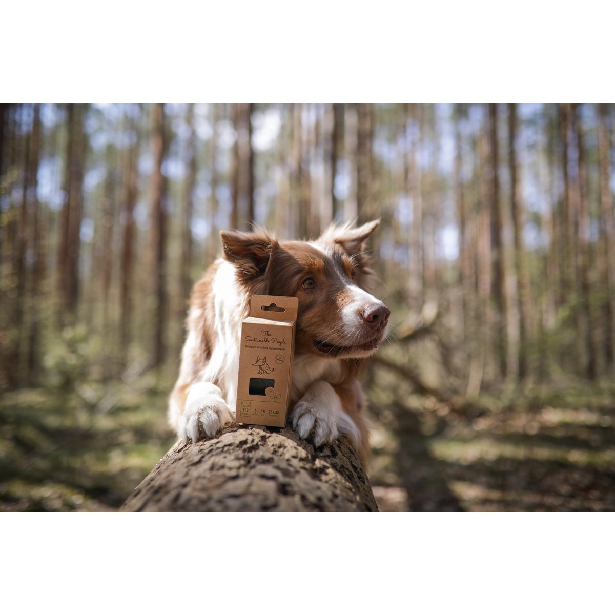 Biodegradable Dog Waste Bags with Handles (112 bags/box)