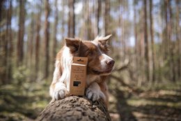 Biodegradable Dog Waste Bags with Handles (112 bags/box)