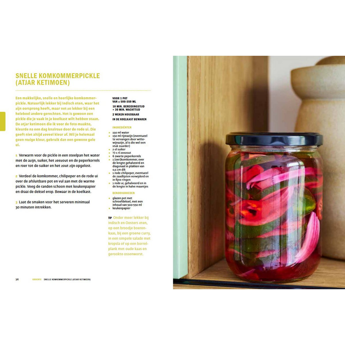 Simone van Thull – Gärung und Gärungsbibel