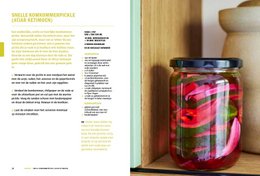 Simone van Thull - Fermentation and Fermentation Bible