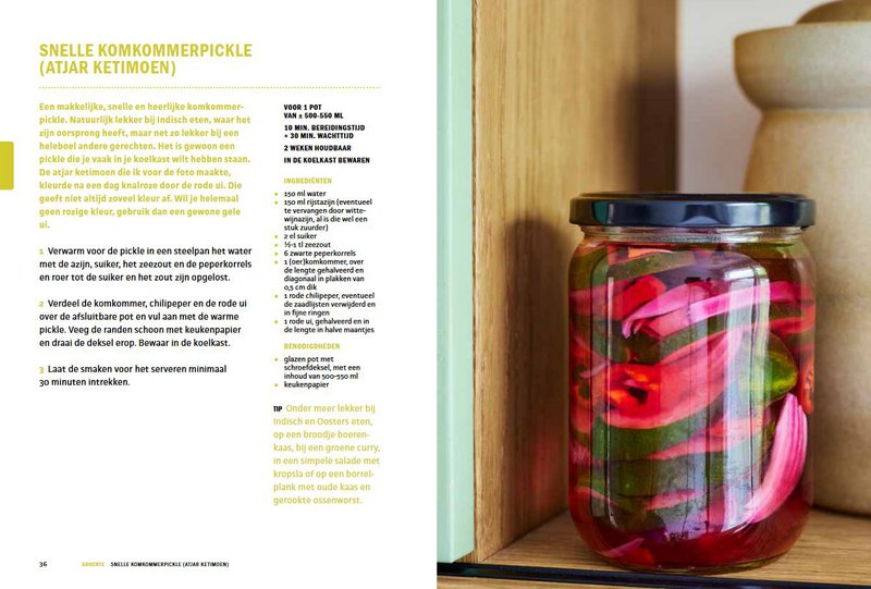 Simone van Thull - Fermentation and Fermentation Bible