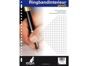 Ringband interieur 23r diamant 10 mm 100 vel