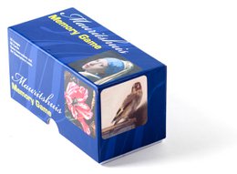 Memory Game, meesterwerken van het Mauritshuis
