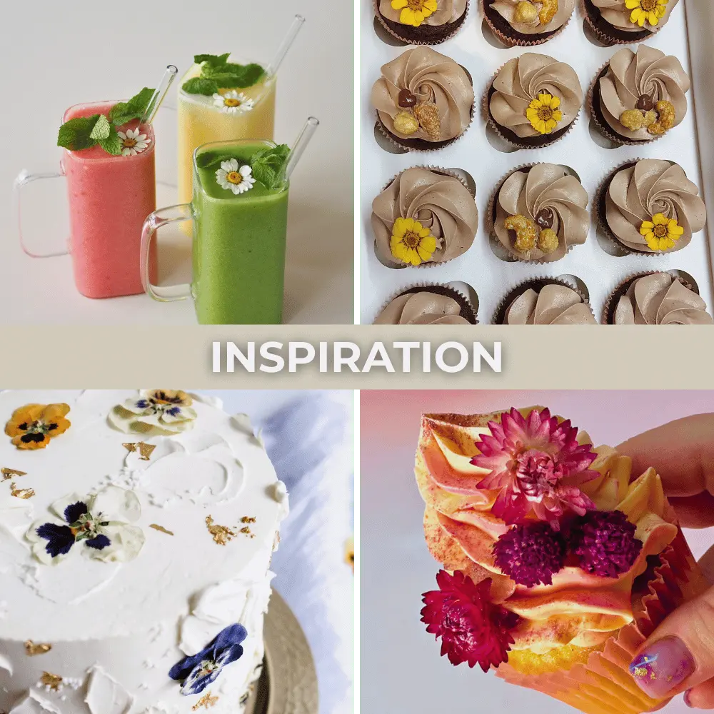 Fleurs spéciales - Fleurs séchées comestibles | B2B