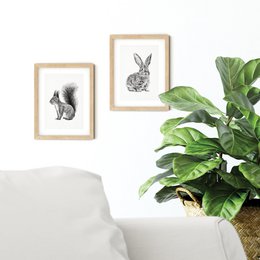 Estampados de animales del bosque