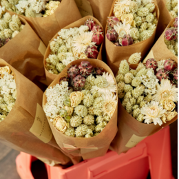 Bouquet de fleurs séchées Market More – Naturel