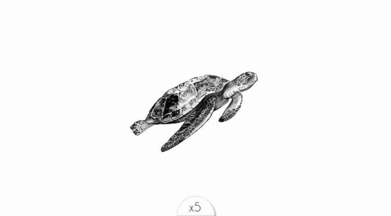 Tijdelijke tattoo: Schildpad