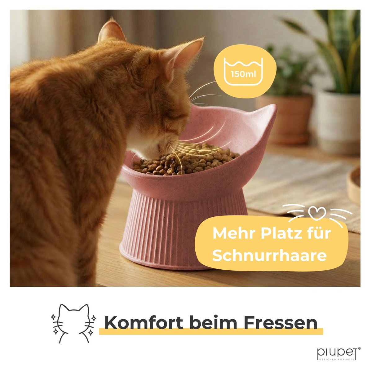 Raised cat bowl "ALMA"