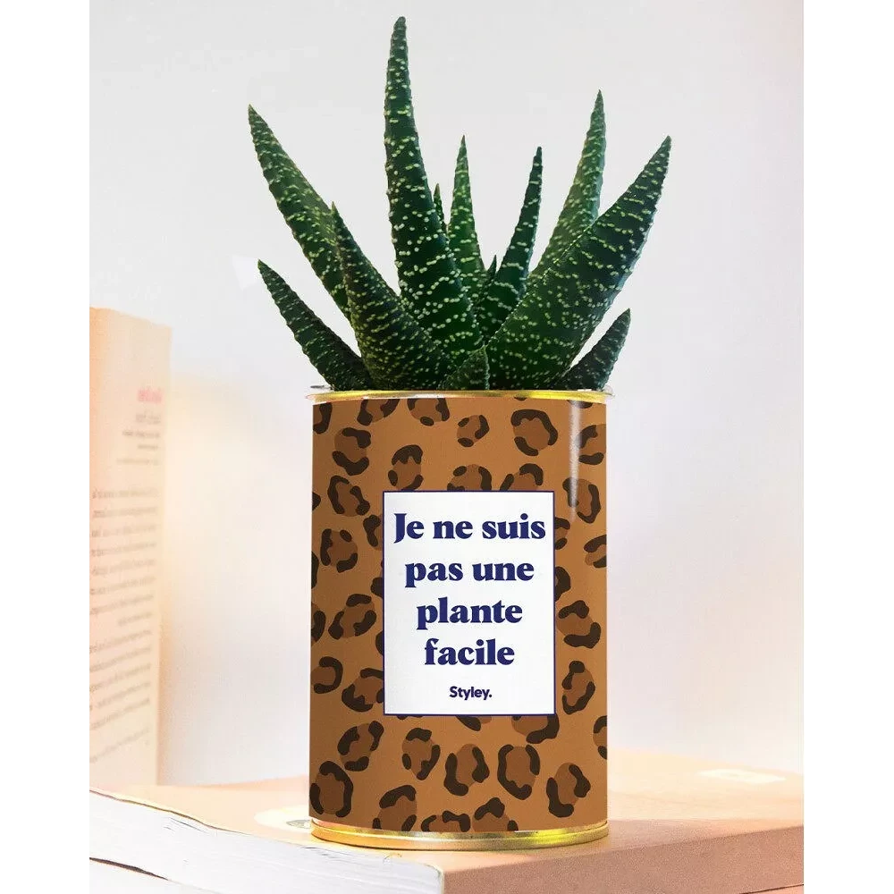 Pack Best Seller