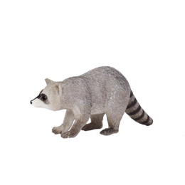 Mojo