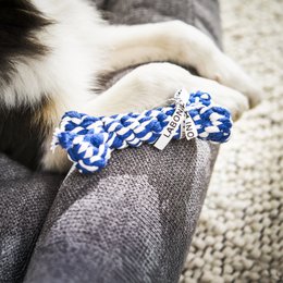 TUDOR ORTHO | Premium Orthopedic Dog Bed