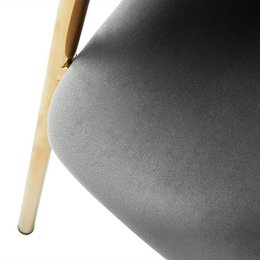Dalila eetstoelen [set van 2] [Velvet]
