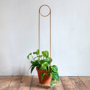 Goldener Pflanzenstecker – Anstecknadel