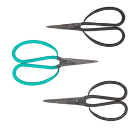 AUTHENTIC LAMES THO medium, ciseaux de cuisine, tranchant 7cm