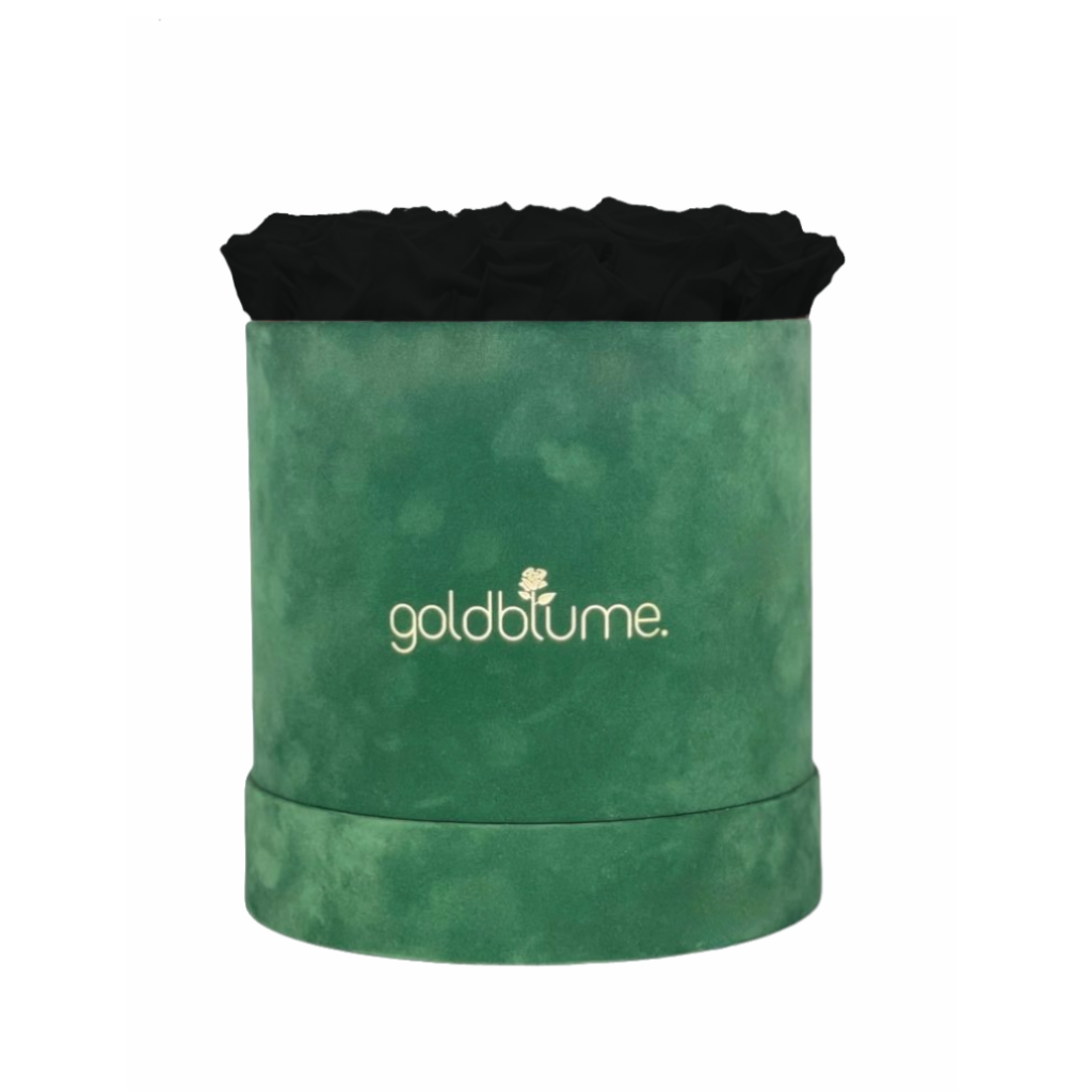 Velvet Green Collection