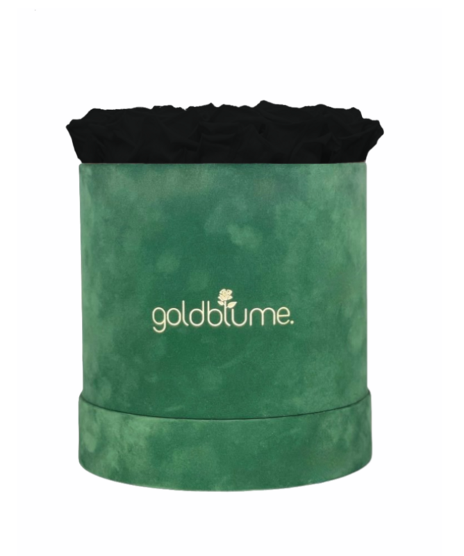 Velvet Green Collection