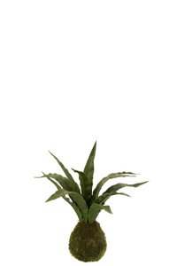 J-Line Women's Tongues Ball Earth Plastic Green