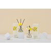 Cocodor Daffodil Diffuser 120 ml
