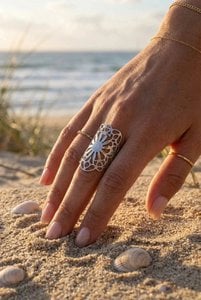 RVS ringen