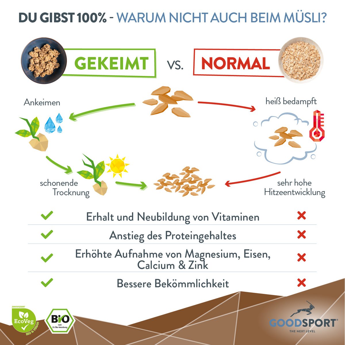 BIOLOGISCHE Energyballs, cashewcacao, gekiemde havervlokken