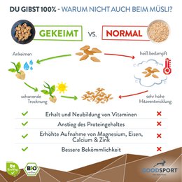 Palline energetiche BIOLOGICHE, cacao agli anacardi, fiocchi d'avena germogliati