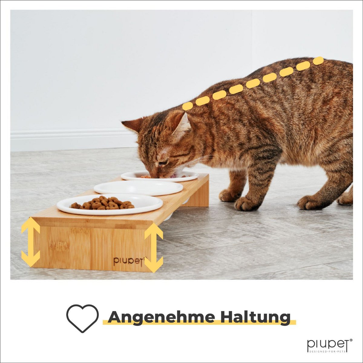 3 gamelles pour chat "CAMI"