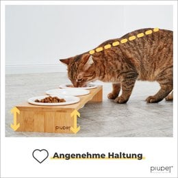 3 gamelles pour chat "CAMI"