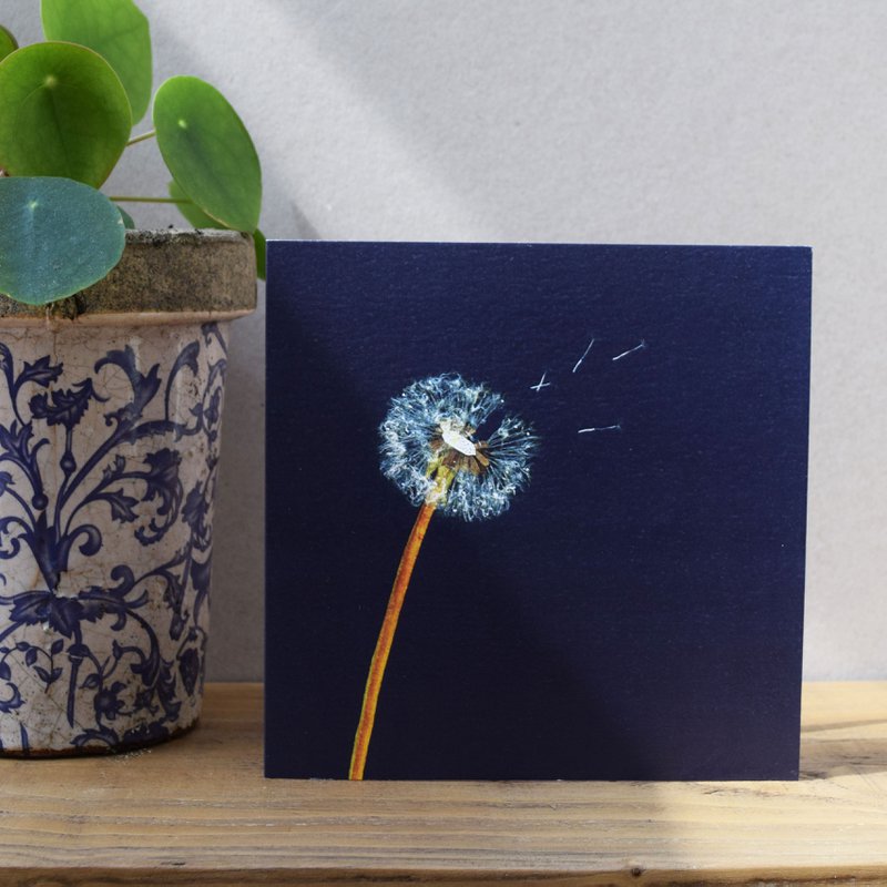 Puff Ball Card (blomsterkort)