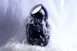 MYSTERY VELVET : Truffle, Ylang-Ylang & Vetiver