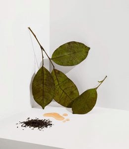 Earl Grey