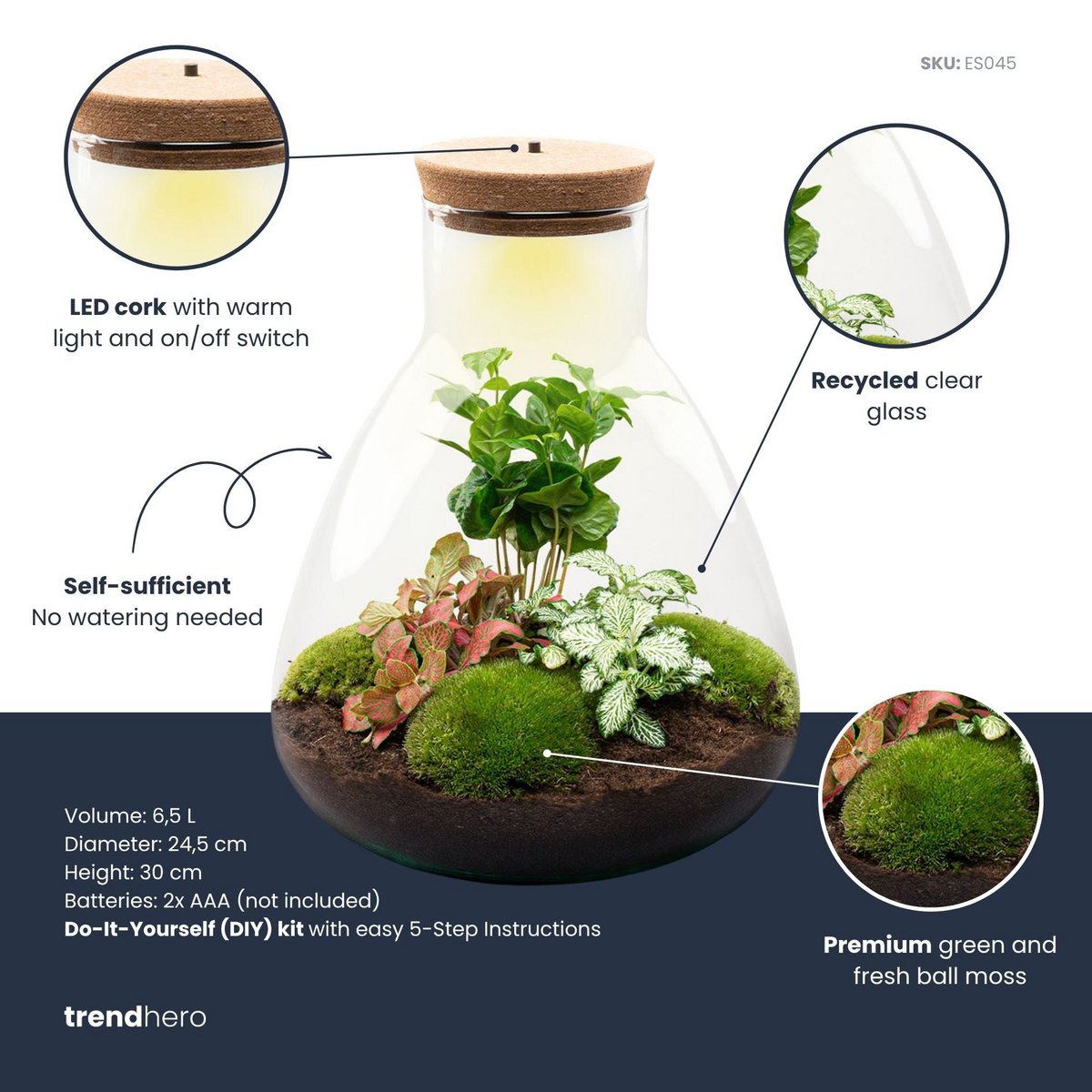 Zestaw do samodzielnego wykonania terrarium - Kawa Sam ze światłem - Ogród butelkowy - ↑ 30 cm