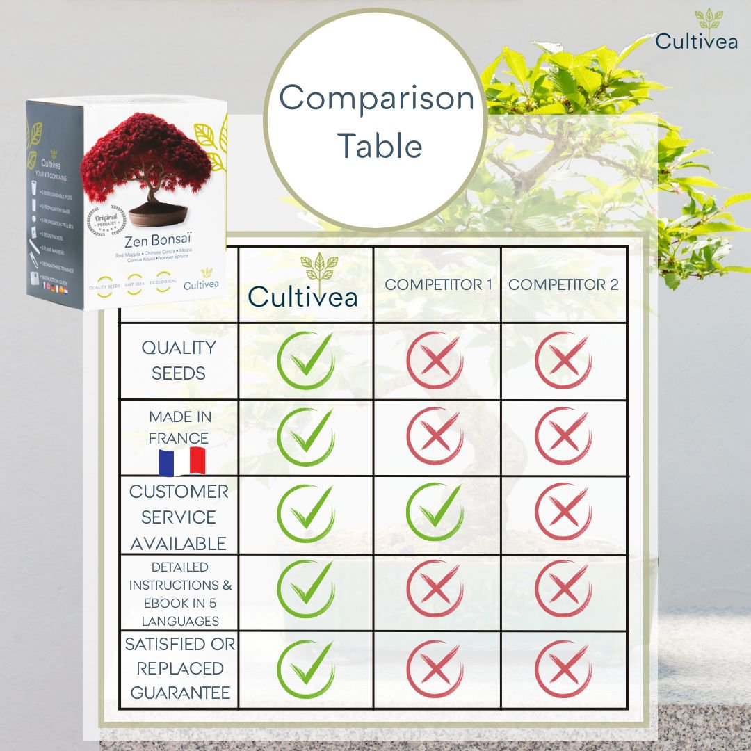 CULTIVEA® Ready to Grow Kit 6 Bonsai – Garten gestalten und dekorieren – Weihnachtsgeschenkidee (Roter Ahorn, Chinesischer Cercis, Juniperus, Liquidambar, Gemeine Fichte)